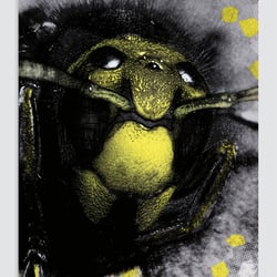 Planfisch-Kalender 2016