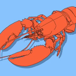 Digital illustration