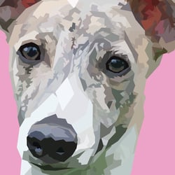 Close-up.