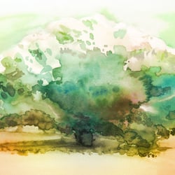 “OAK” – Aquarell