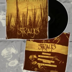 Booklet-Design for FINAL EFFORT