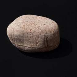 Skolithos