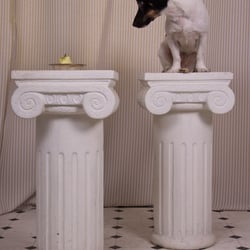 Säulenhund