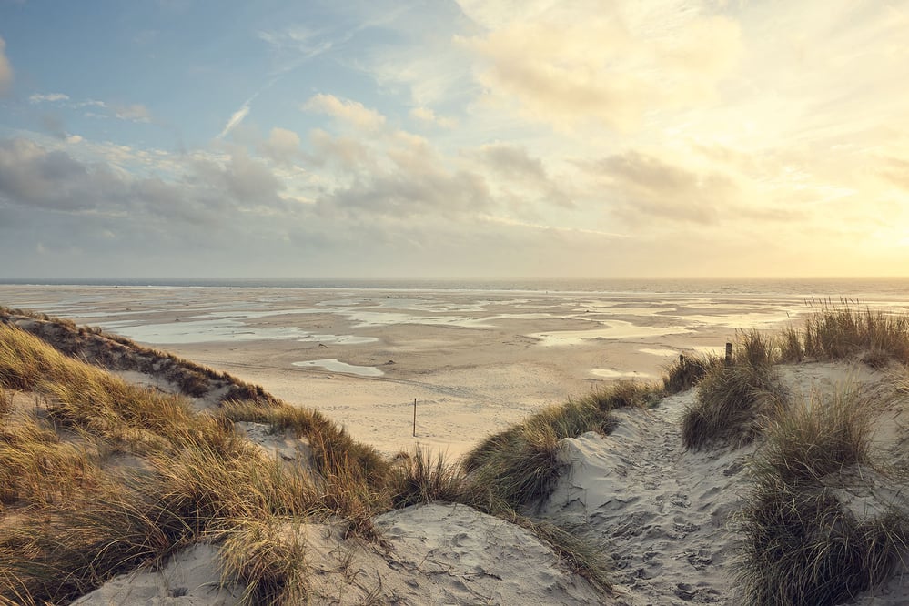 Amrum