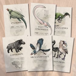 Illustrationen – Paläofauna Deutschlands