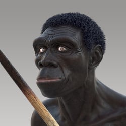 Homo Erectus 3D-Character Modelling; ZBrusch, 3DS MAX