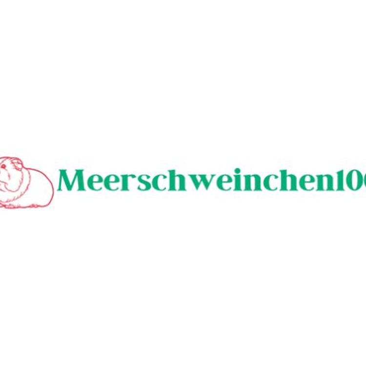 Meerschweinchen100 Kassel