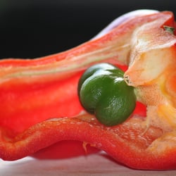Food Fotografie 2012