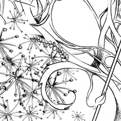 Illustration für Schaufenster – Teil