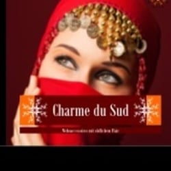 Flyer (hier Vorder- und Rückseite) Charme du Sud