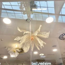 Schaufenster Volme Galerie (2)