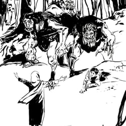 Illustration of the book