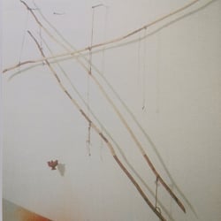 Zeit