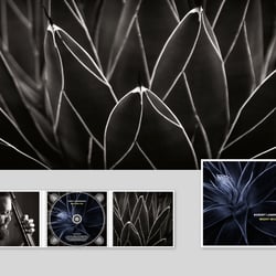 CD-Cover und digital booklet «Night Will Fall»