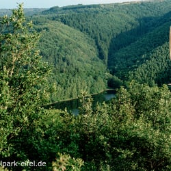 Nationalpark Eifel
