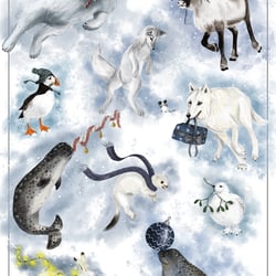 Tiere am Polarkreis