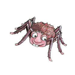 Spinne, grinsend
