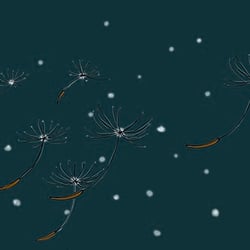 Auftragsarbeit Weihnachtskarte