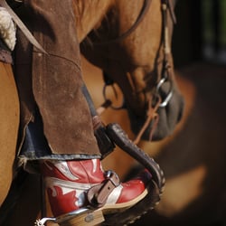 W09HW Einst Schuhe 11