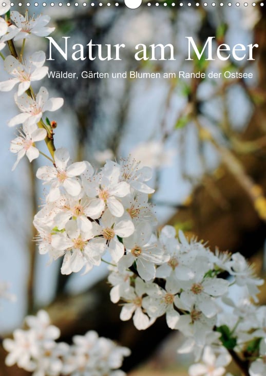 Blüten im Frühjahr
