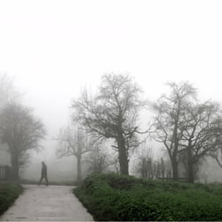 Morgennebel am Neckar