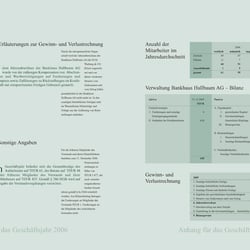hallbaum geschaeftsbericht 2006 Seite 3031