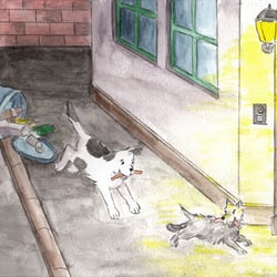 Hunde nachts in der Stadt