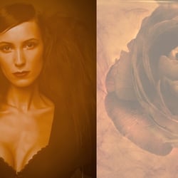Portrait 2010/2011