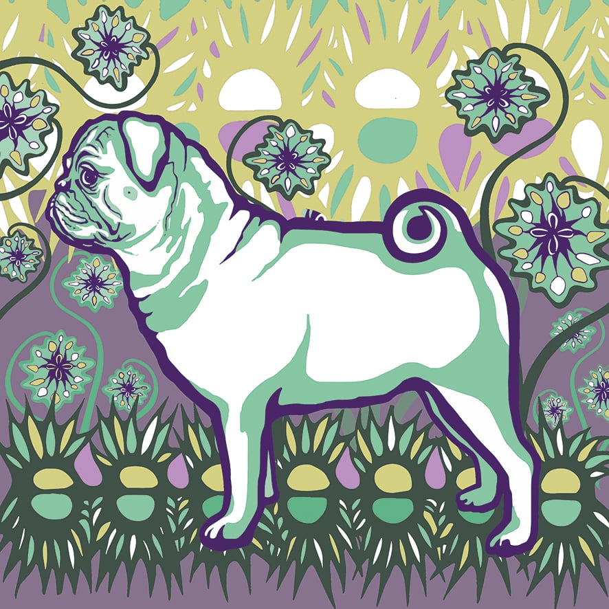 00 park pug
