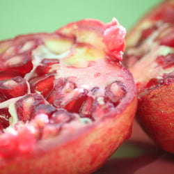 Granatapfel November 2012