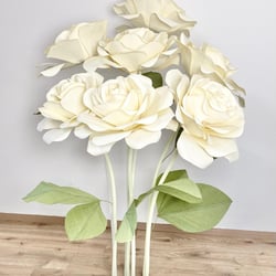 Rose weiß