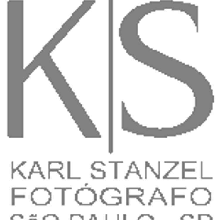 Karl Stanzel