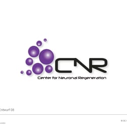 CNR Präsentation Logos wg 20090317 Seite 3