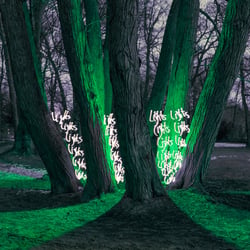 lights