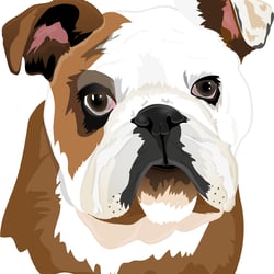 Bulldog