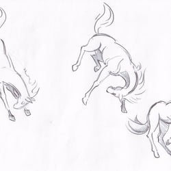 Pferdestudie nach Preston Blair