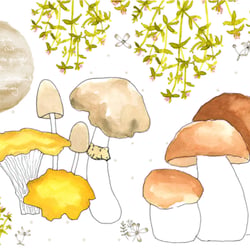 asparagus and mushrooms