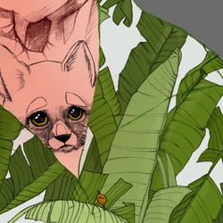 Detail 2