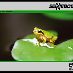 Sennebogen D-Serie