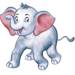 Junior