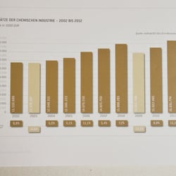 Geschäftsberichte – Chemische Industrie Österreich – 2011/12