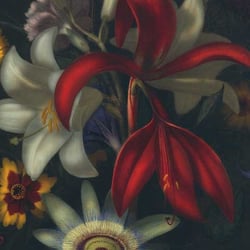 Teppichentwurf: „Eden 12“ für „Rug star by Jürgen Dahlmanns“