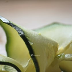 Zuchini Food Foto Übungen März 2014