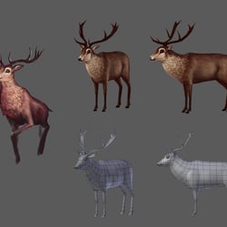 2D Concept  Nguyen Thi Tuong Van
