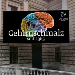 Display-Entwurf Universität Wien