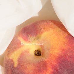 Food 23.08.14