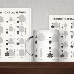 Schautafel Heimische Laubbäume