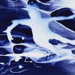 BILDERTAL – MUSIKVIDEO – unconscious