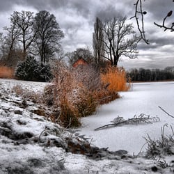 Winter Lake