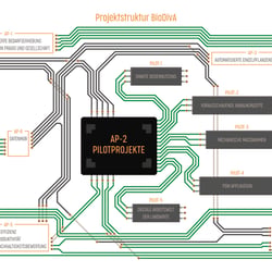 Infografik – BioDIVA 2